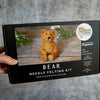 Bear Creek Needle Felting Kit