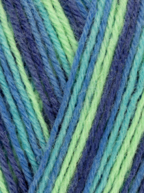 West Yorkshire Spinners Signature 4ply - Avenue Yarns